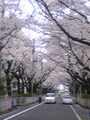 090405_104014.jpg