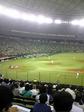 100521_190044.jpg